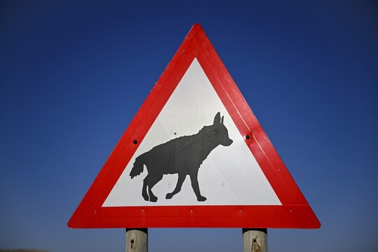 Sign warning of brown hyenas or beach wolves (Parahyaena brunnea) near L&uuml;deritz, Karas Region, Namibia