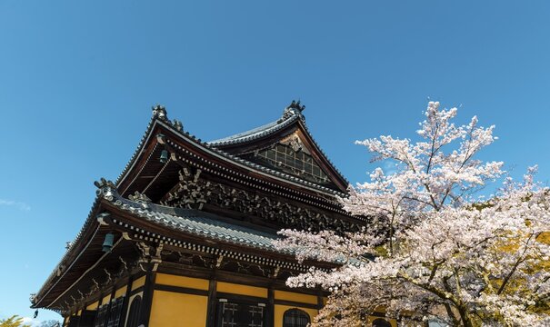 Nanzenji Temple with cherry blossoms, Kyoto, Japan
