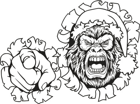 Angry gorilla wearing Santa hat pointing finger through torn wall, Christmas mascot black and white line art, aggressive ape holiday sports team logo vector illustration
