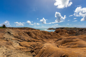 Fototapeta premium La Savane des Petrifications, Savanna of Petrified Formations at Sainte-Anne, Martinique