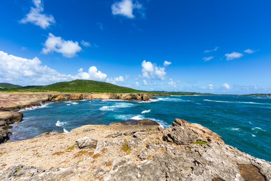 Savane des p&eacute;trifications Trail from Les Salines Beach and Anse Trabaud Beach, Martinique