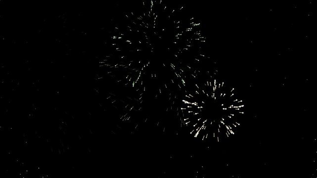 5 oct 26 (22).mov,
Fireworks exploding in night sky, festive celebration display,
fireworks,night,sky,celebration,explosion,pyrotechnics,festival,new,year,independence,day,fourth,of,july,sparkles,ligh