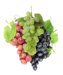 Fototapeta premium Bunches of fresh grapes isolated on white. Different varieties