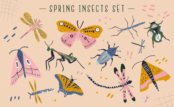 Spring insects vector set
