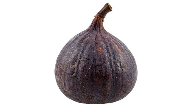 Fresh whole purple fig with stem on white background