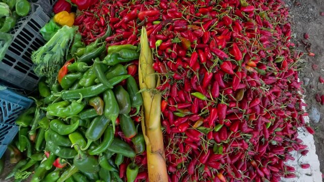 Fresh Colorful Vegetables at Local Farmers Market &ndash; Healthy Organic Produce