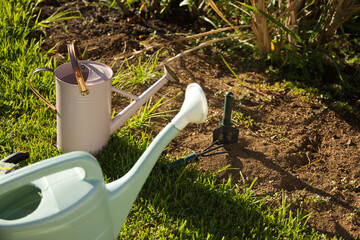 Light-blue watering can is sitting on lawn while pink metal can and green trowel are resting © WavebreakMediaMicro