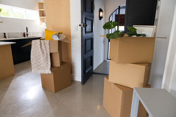 Fototapeta premium Stack of three cardboard boxes is holding potted plant leaves near open black door and kitchen