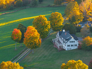 Naklejka premium aerial view of colorful autumn tree and house