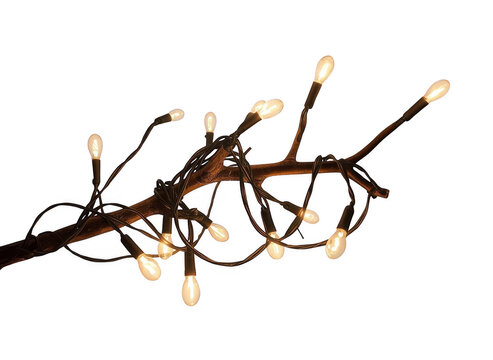 Glowing string lights tangled around a tree branch