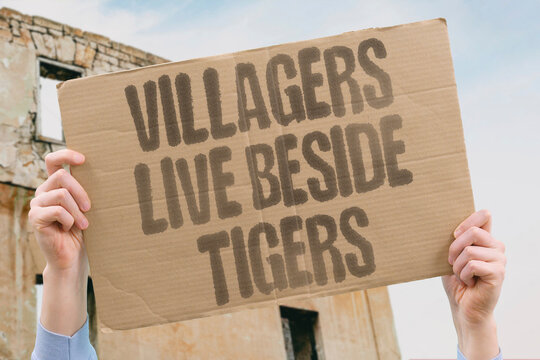 "Villagers live beside tigers" Communities share forests with predators. VILLAGERS. TIGERS. FOREST. INDIA. PREDATORS.