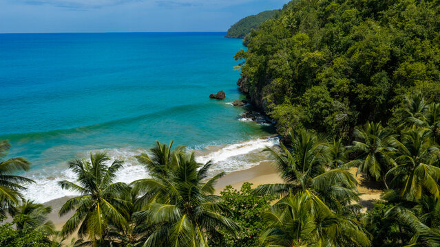 Aerial view of El Valle beach with lush palm trees, turquoise waves crashing against the sandy shore, and dense green forest in El Valle, Samana, Dominican Republic.
