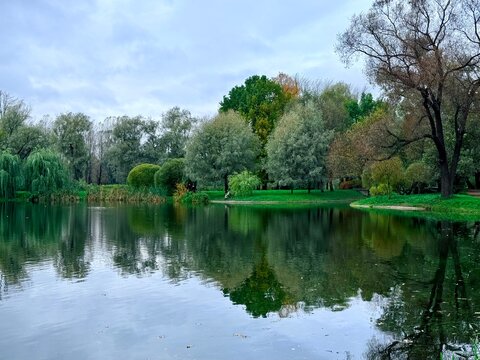 autumn trees reflection on the lake surface in the park, beautiful nature, colorful trees, peaceful lake view
