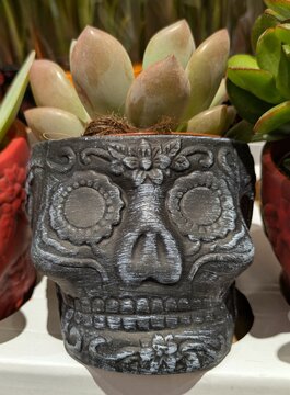 Vista de cerca de una planta suculenta colocada dentro de una maceta decorativa con forma de calavera mexicana inspirada en el D&iacute;a de los Muertos.