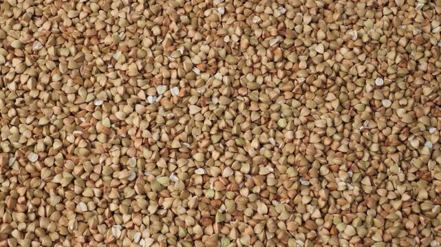 Dolly shot of raw buckwheat groats background