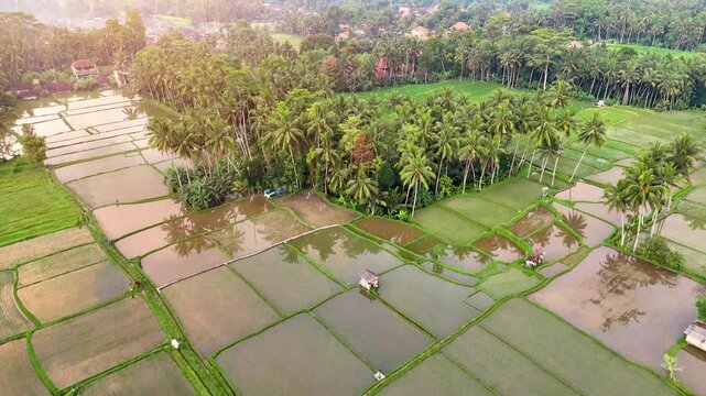 Flying over the beautiful landscape of Bali Indonesia at dawn.