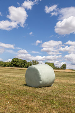 rolled and foil-covered hay in the field