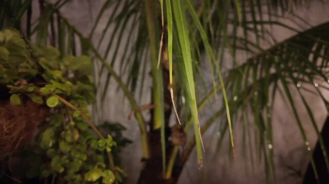Jard&iacute;n