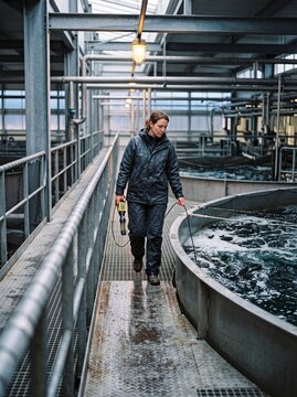 Female technician monitoring water quality parameters with electronic probe in modern indoor aquaculture fish farm facility