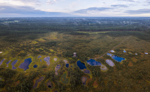 Aerial view of Viru raba vaatetorn observation tower surrounded by the vast bog landscape with small dark ponds, wooden boardwalks, and dense pine forests in Kolga, Harju maakond, Estonia.