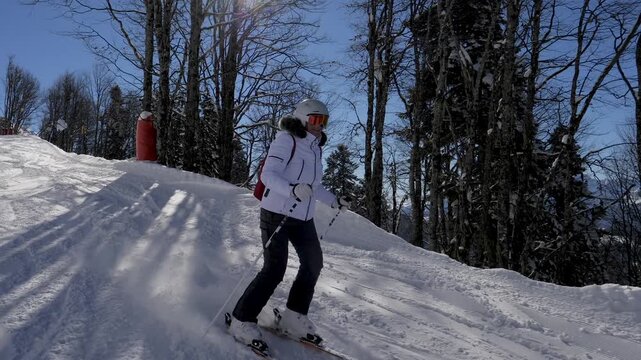 Sunny winter day with skier gracefully descending a snowy mountain slope, surrounded by pine trees and enjoying the winter sports at a popular ski resort