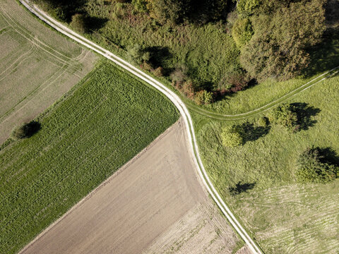 Aerial view of a rural landscape with a dirt path winding through agricultural fields and patches of trees during autumn in Krakow, Lesser Poland Voivode, Poland.