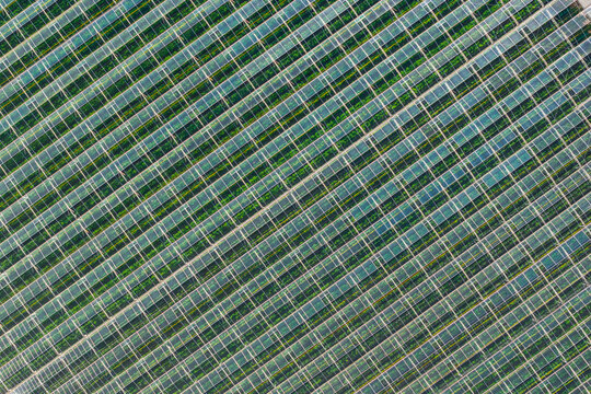 Aerial view of a large greenhouse complex with glass panels and rows of crops in Hoddesdon, England, United Kingdom.