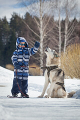 Child playing with a Siberian husky in a snowy winter landscape © Viacheslav Zhukov