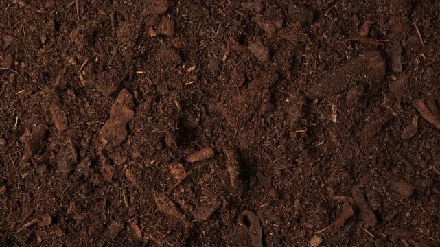 Rich fertile dark brown soil moving