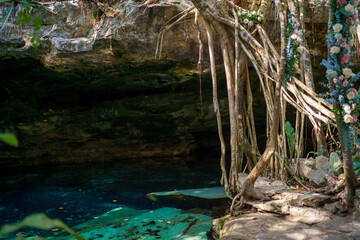 Naklejka premium Turquoise cenote pool in limestone cave with hanging tree roots