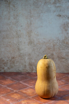 Butternut squash on a tile surface 