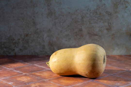 Butternut squash on a tile surface 