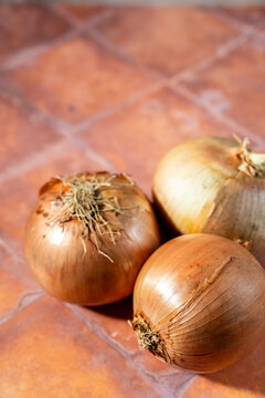 Yellow onions on a tile surface 