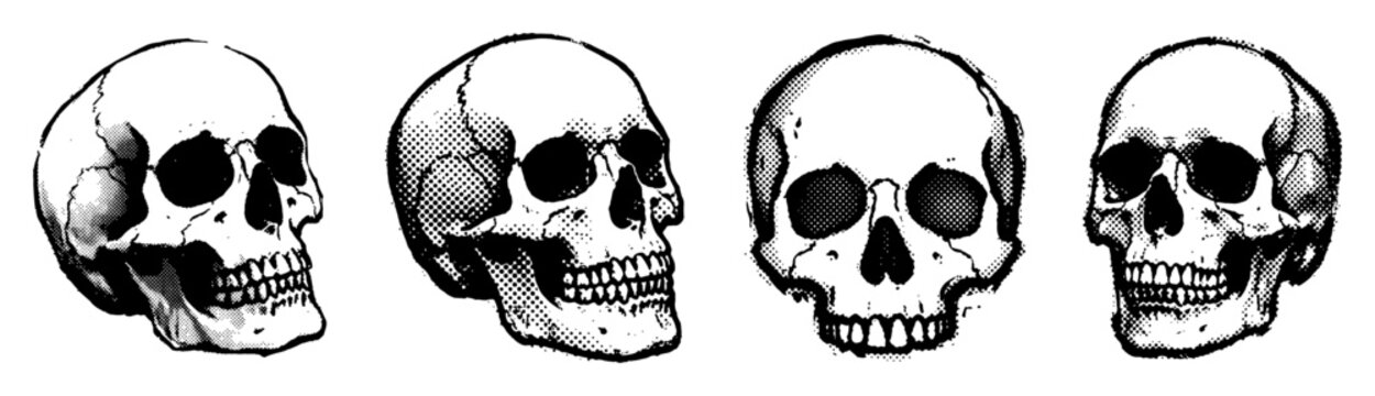 Human skull collection in black stippled halftone engraving for prints photocopy effect