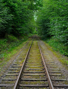Straight railway line cutting through leafy forest corridor.