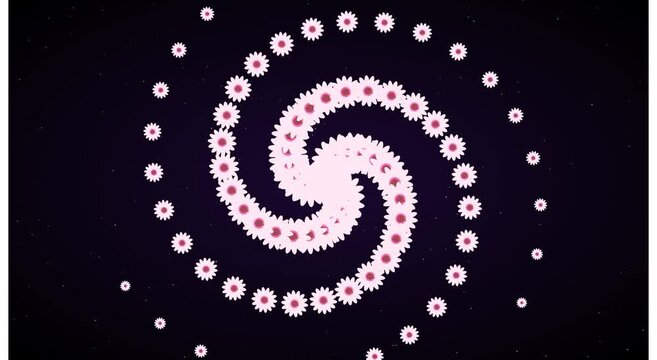 Abstract floral spiral motion background, pink daisy pattern rotating animation, psychedelic flower vortex loop for creative projects