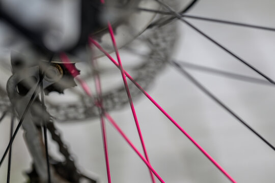 Abstract bicycle drivetrain and vivid pink wheel spokes detail.