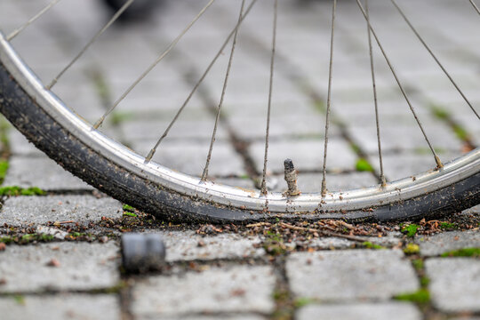 Flat bicycle tire resting on paved urban ground.