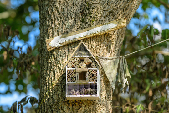Wooden insect hotel mounted on tree supporting garden biodiversity.