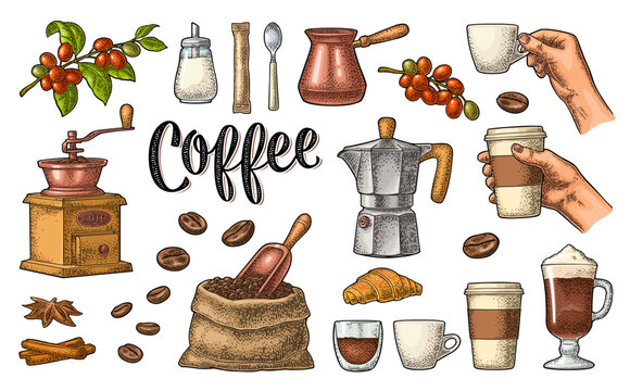 Set coffee. Beans, wooden scoop, sack, moka pot, turkish copper, hand-held grinder, branch with leaf and berry, glass latte with whipped cream. Vintage color vector engraving isolated on white