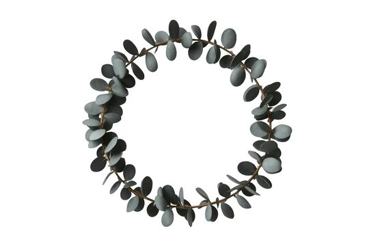 Eucalyptus wreath circle frame creating botanical border