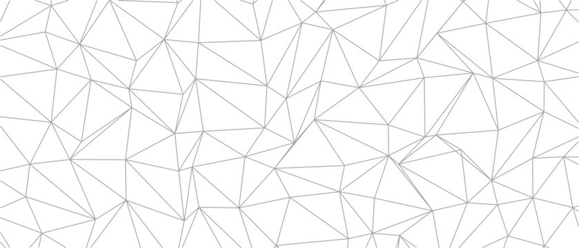 Low poly geometric wireframe background, with gray triangle, mesh lines on, a white backdrop