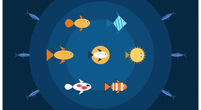 Flat underwater animation with colorful tropical fish swimming in circles, minimalist marine life motion background