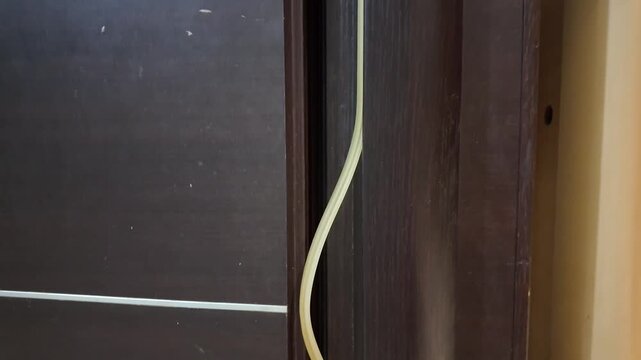 Dark wooden door with visible cable running along its edge. Cable curves gently, hinting at recent or unnoticed installation. Door shows minor signs of wear and use. No people, no animals