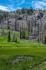 Cold Boiling Lake in Lassen Volcanic National Park, CA © Hanjo Hellmann