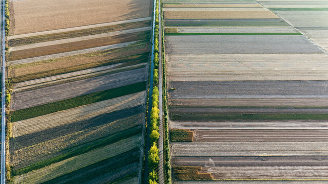 Aerial view of agricultural fields divided by tree-lined avenues and a canal in Debeljaca, Vojvodina, Serbia.