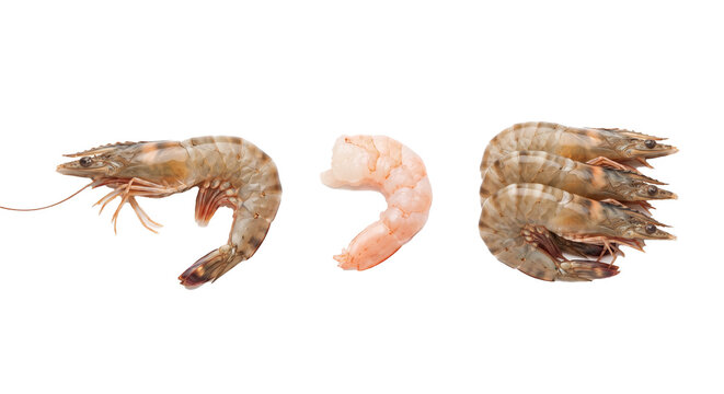 Whole raw tiger prawn, cleaned boiled shrimp meat, and three raw shrimps isolated on a white background