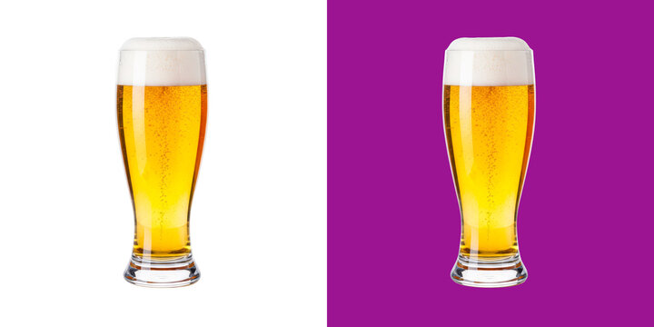Full glass of golden beer with white foam in a tall drink glass transparent png