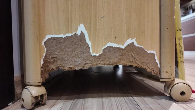 Wooden furniture base shows severe damage beneath. White wheels support a broken cabinet structure. Rubble lines the floor beneath a damaged section. No animals or people appear in the frame