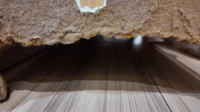 Rabbit gnawed carpet, tearing fabric near bed legs. Floorboards show damage beneath furniture. Worn wheels indicate furniture's age and use. Footage captures destructive animal behavior